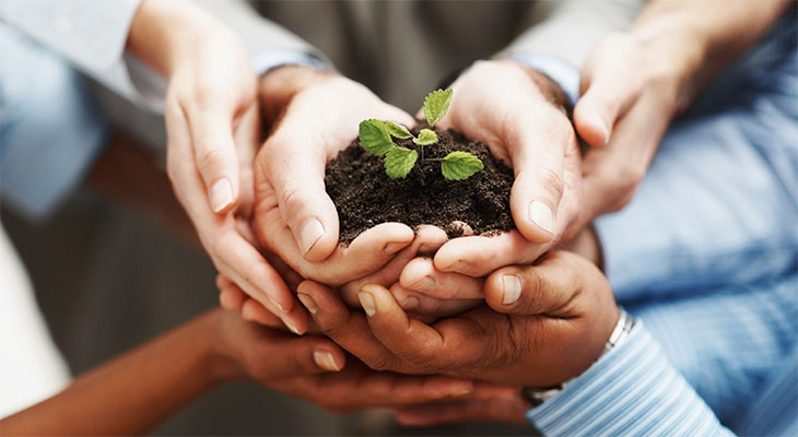 Culture Is The Foundation For Social Business Transformation